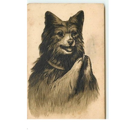 n°13583 - Carte Gaufrée - Chien applaudissant