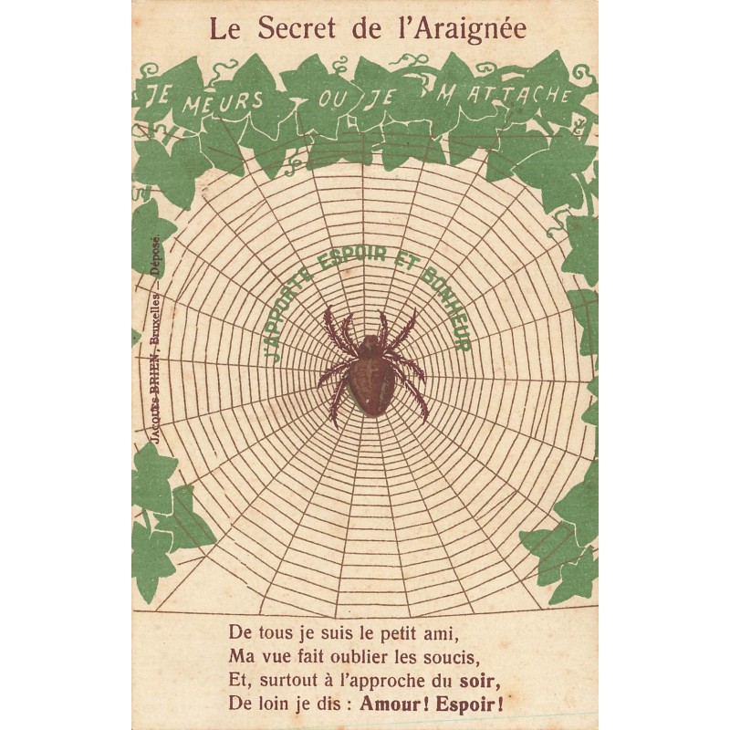 n°29243 - Le Secret de l'Araignée - J'apporte Espoir et Bonheur