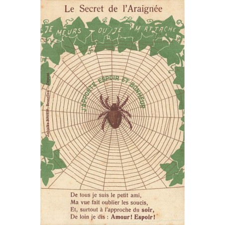 n°29243 - Le Secret de l'Araignée - J'apporte Espoir et Bonheur
