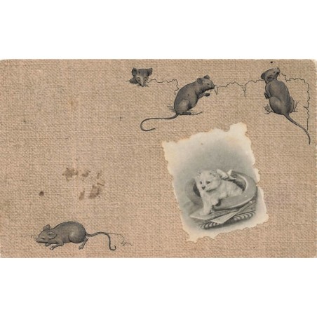 n°29244 - Carte Gaufrée - Animaux - Souris autour d'un chien dans son panier