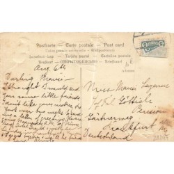 n°29244 - Carte Gaufrée - Animaux - Souris autour d'un chien dans son panier