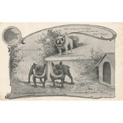 n°29245 - Chien - Nous...