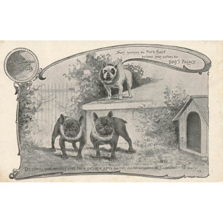 n°29245 - Chien - Nous sommes de Pure Race puisque nous sortons du Dog's Palace - Bouledogue Français