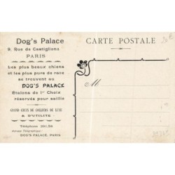n°29245 - Chien - Nous sommes de Pure Race puisque nous sortons du Dog's Palace - Bouledogue Français