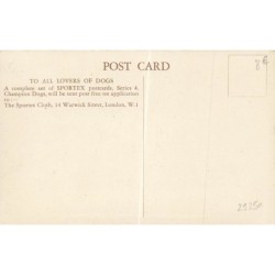 n°29250 - Chien - Bulldog - Man has at least two friends Sportex and his dog - Bouledogue anglais