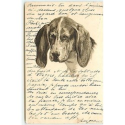n°13585 - Carte Gaufrée -...