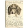 n°13585 - Carte Gaufrée - Tête de Chien