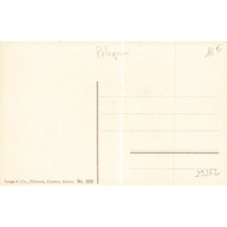 n°29262 - Illustrateur Pellegrini - Groupe sur une luge