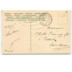 n°13588 - Carte Gaufrée - Oies mangeant des cerises