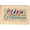 n°29302 - Carte Brodée - Souvenir de France - Drapeaux