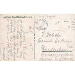 n°29312 - Suisse -Argovie - Gruss aus dem Rübliland - Carottes humanisées jouant aux cartes