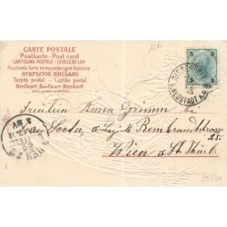 n°29330 - Carte Gaufrée - Fröhliche Weihnachten - Ange Gardien ramassant des branches de sapin