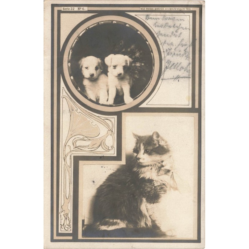 n°29344 - Animaux - Chat et deux chiots en médaillon