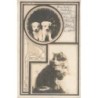 n°29344 - Animaux - Chat et deux chiots en médaillon