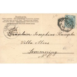 n°29382 - Carte Gaufrée - Fröhliche Weihnachten - Anges apportant un sapin avec l'enfant Jésus