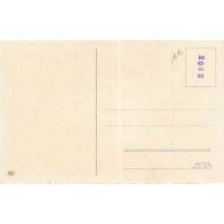 n°29384 - Noël - Herzliche Weihnachtsgruss - Anges apportant des cadeaux et un sapin devant une maison