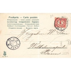 n°29394 - Carte Gaufrée - Fantaisie - Fillette portant un cochon, sous une corne d'abondance remplie de porte-bonheur