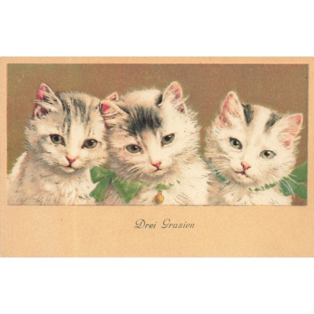 n°29450 - Animaux - Chats - Drei Grazien -Cat