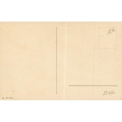 n°29450 - Animaux - Chats - Drei Grazien -Cat