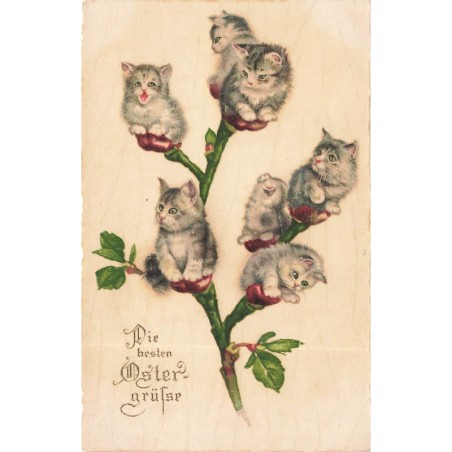 n°29459 - Pâques - Die besten Oster Grüss - Chatons posés sur une branche de rosier - chat