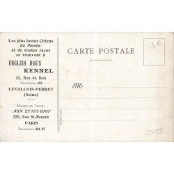 n°29499 - Bouledogue français- Chiens vendus avec toutes garanties ... - Kennel Levallois Perret