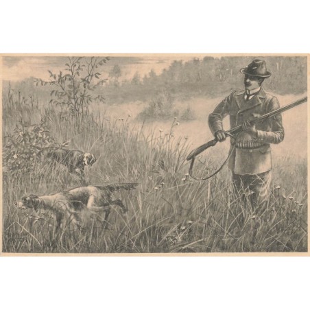 n°29506 - Illustrateur MM Vienne - Un chasseur et ses chiens au milieu d'herbes hautes - chasse