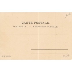 n°29507 - Illustrateur MM Vienne - Chasseurs et leurs chiens tirant sur des faisans - chasse