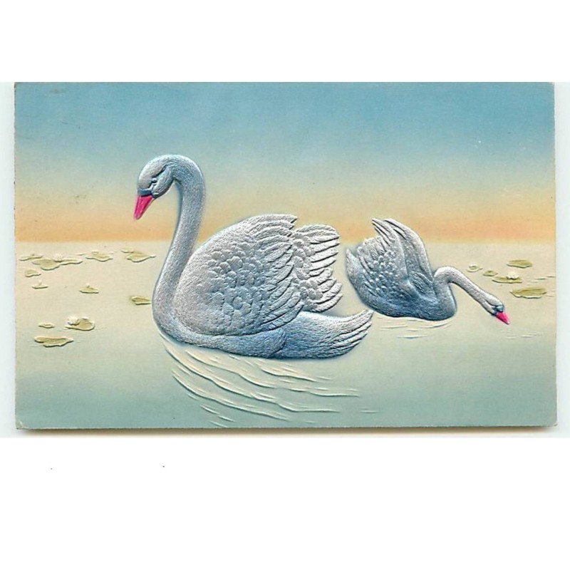 n°13620 - Carte Gaufrée - Cygnes