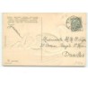 n°13620 - Carte Gaufrée - Cygnes