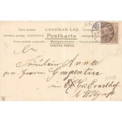 n°29579 - Nouvel An - Prosit Neujahr 1902 - Anges trinquant