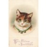 n°29648 - A & MB n°531 - Chat - Dorothy Travers Pope - Chat portant des grelots sur un ruban vert