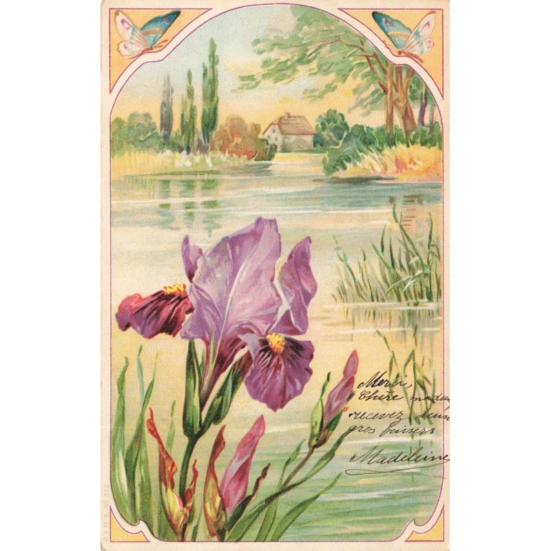 n°29687 - Fantaisie - Art Nouveau - Iris près d'un étang - Papillon