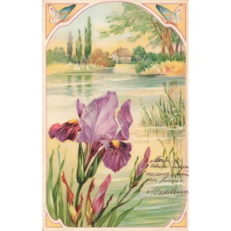 n°29687 - Fantaisie - Art Nouveau - Iris près d'un étang - Papillon