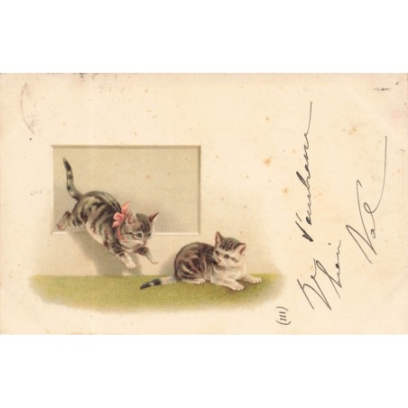 n°29697 - Animaux - Chat- Deux chatons jouant