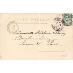 n°29697 - Animaux - Chat- Deux chatons jouant