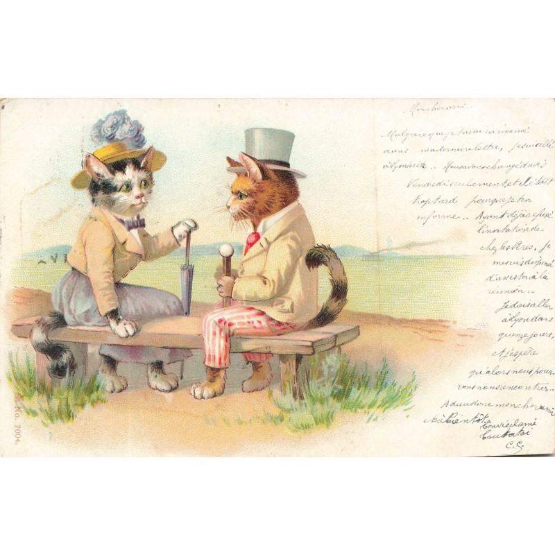n°29699 - Animaux - Chat- Couple de chats habillés assis sur un banc