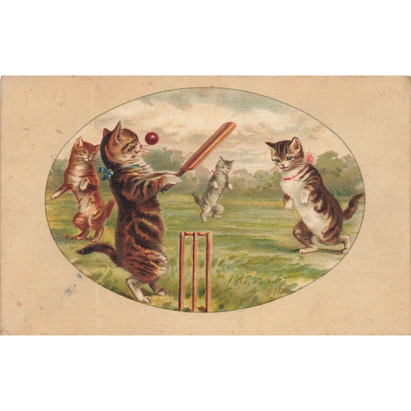 n°29700 - Animaux - Cat - Chats faisant une partie de cricket