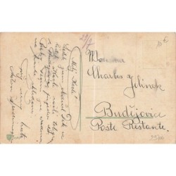 n°29700 - Animaux - Cat - Chats faisant une partie de cricket