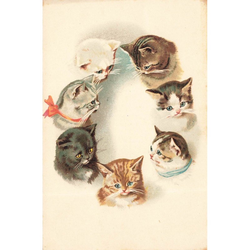 n°29720 - Cats - Tête de chats formant un cercle