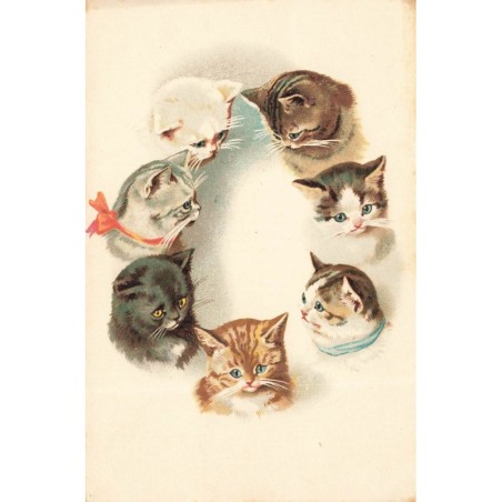 n°29720 - Cats - Tête de chats formant un cercle