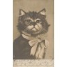 n°29721 - Chats - Tête de chat faisant la tête, avec un gros noeud