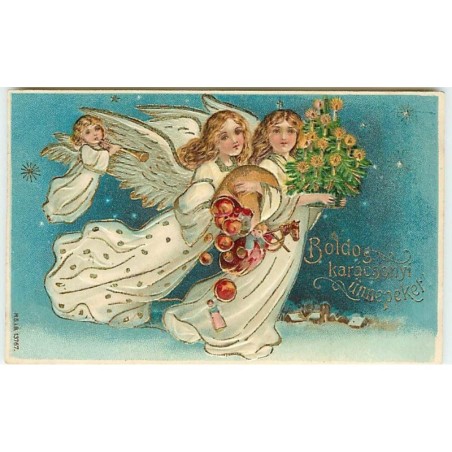 n°13687 - Carte Fantaisie Gaufrée - Boldog karaÂ¡csonyi unnepeket - Anges