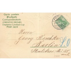 n°29831 - Carte Gaufrée - Prosit Neujahr -Bébés trinquant avec une bouteille de champagne
