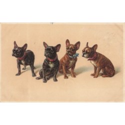 n°29873 - Chien - 4...