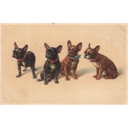 n°29873 - Chien - 4 bouledogues français - MM Vienne n°1123
