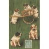 n°29874 - Chien - Des chiots, dont trois jouant avec une petite charette