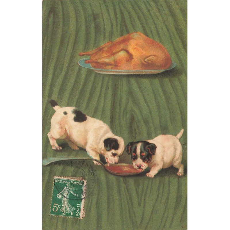 n°29875 - Animaux - Chien - Deux chiots lapant le jus d'un poulet rôti