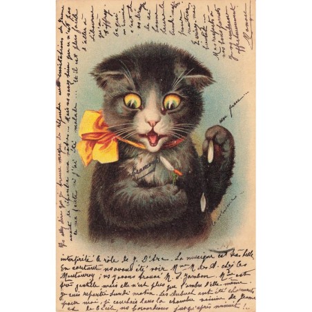 n°29879 - Animaux - Chat effeuillant une marguerite