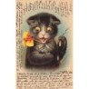 n°29879 - Animaux - Chat effeuillant une marguerite
