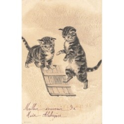 n°29881 - Carte Gaufrée -...